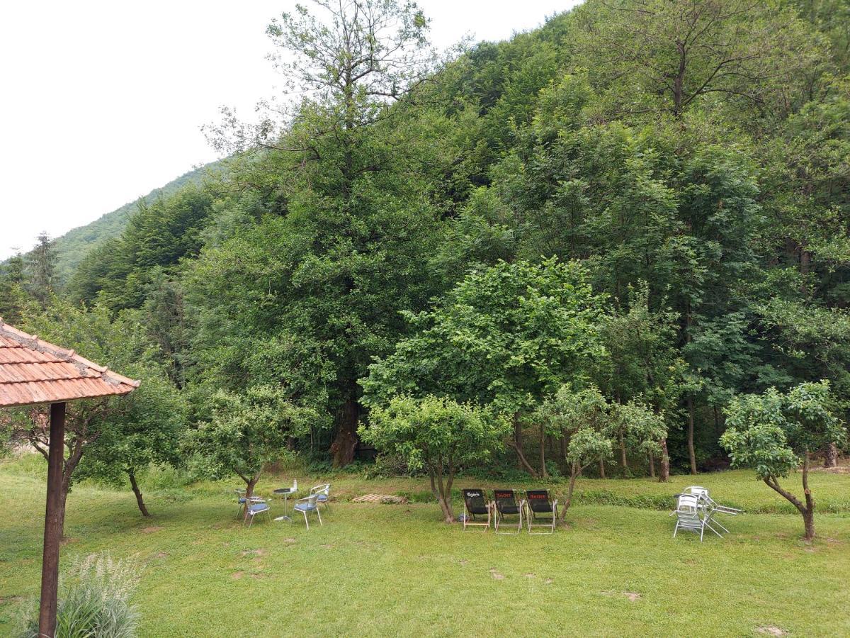 Marko'S Apartments Kopaonik Ngoại thất bức ảnh